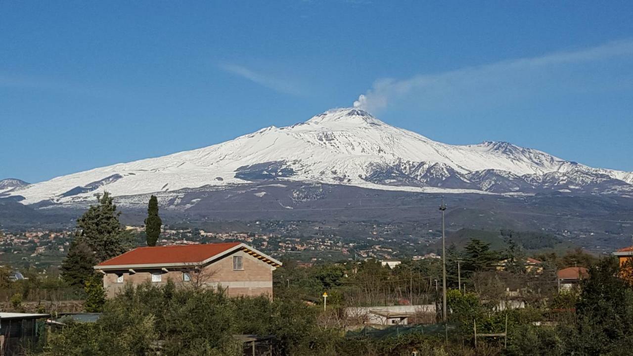 Chalet Villa Fini Fleri Dış mekan fotoğraf