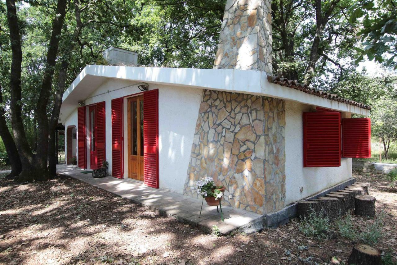 Chalet Villa Fini Fleri Dış mekan fotoğraf