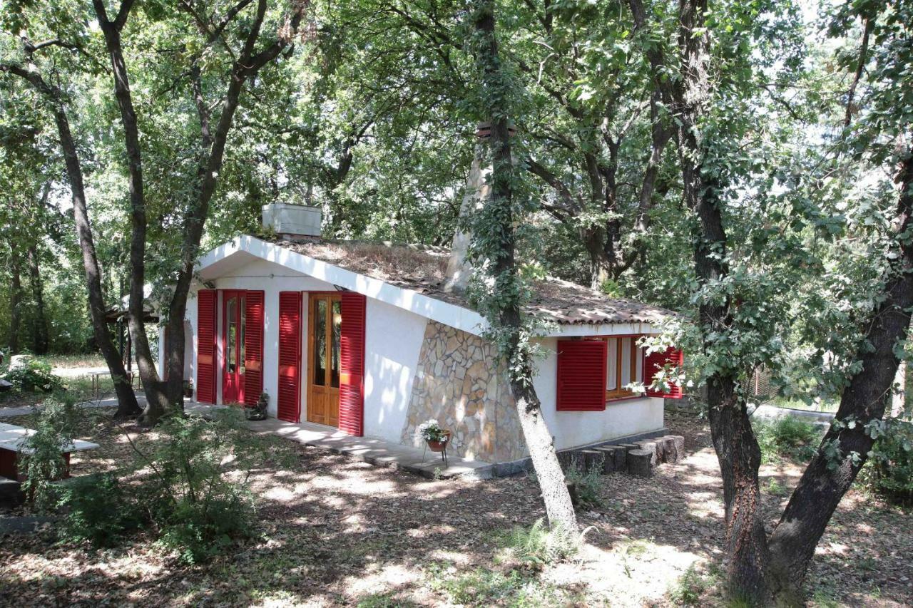 Chalet Villa Fini Fleri Dış mekan fotoğraf