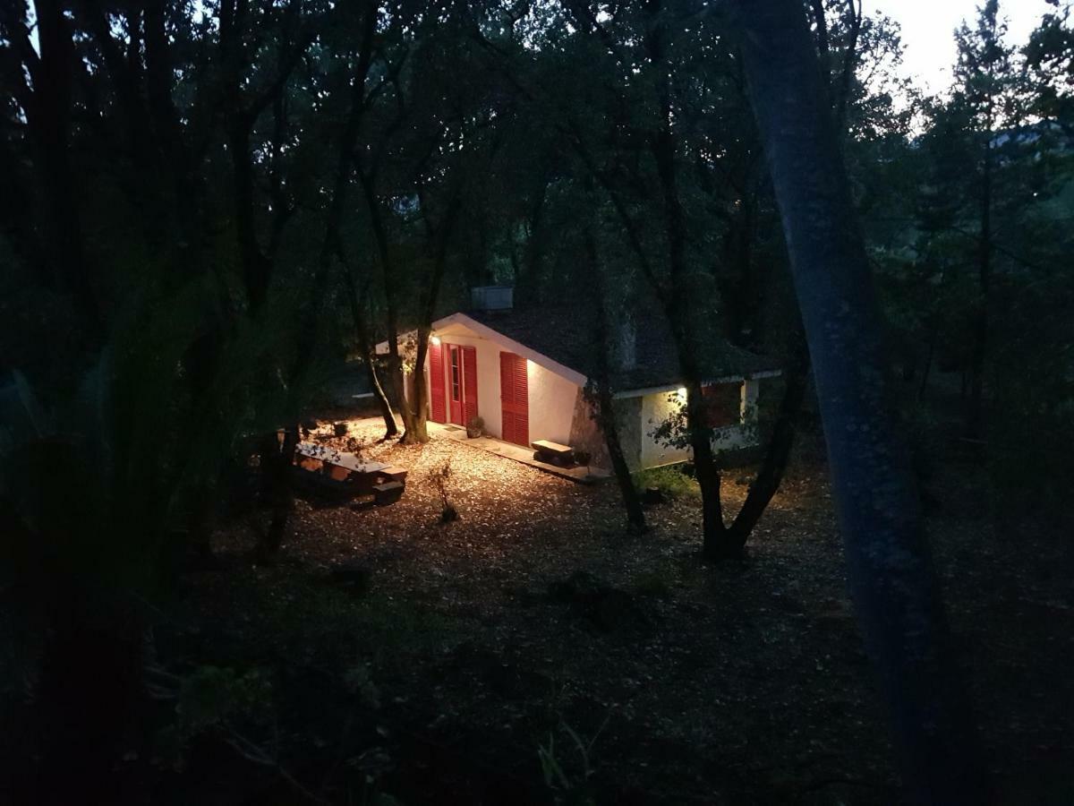 Chalet Villa Fini Fleri Dış mekan fotoğraf