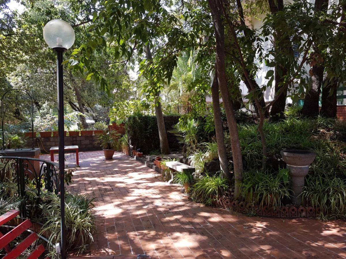 Chalet Villa Fini Fleri Dış mekan fotoğraf